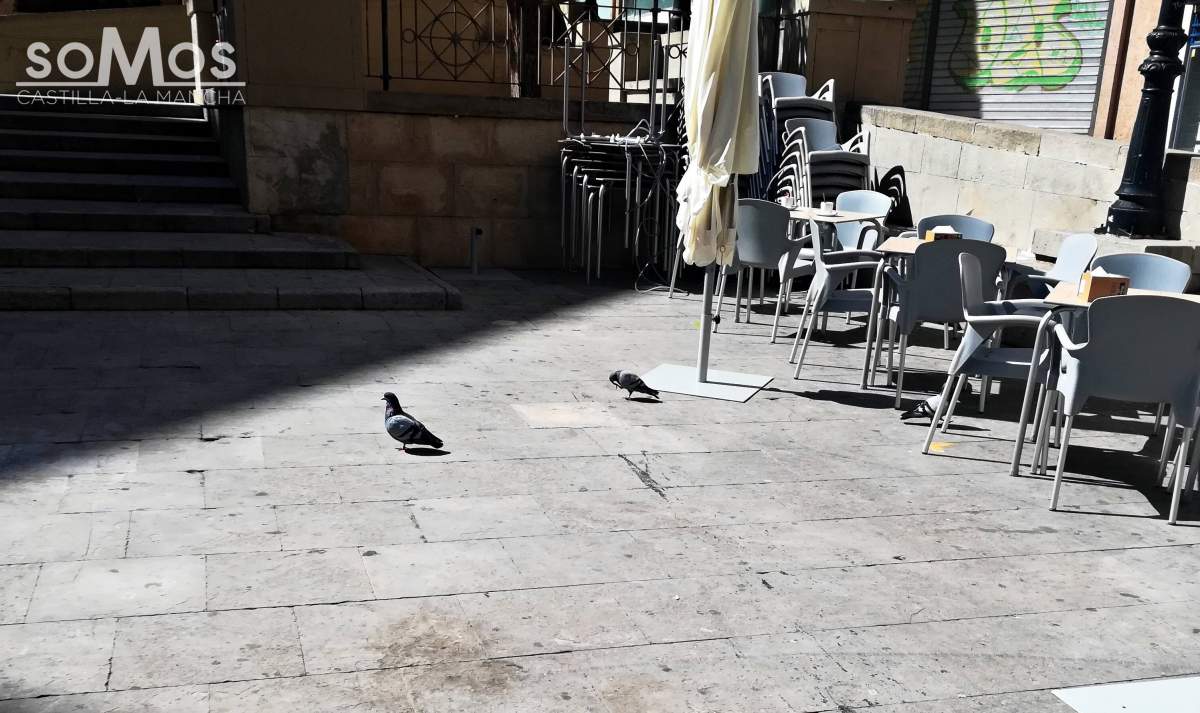 Las palomas son ya una “amenaza pública” en Albacete, y en 7 barrios aún más