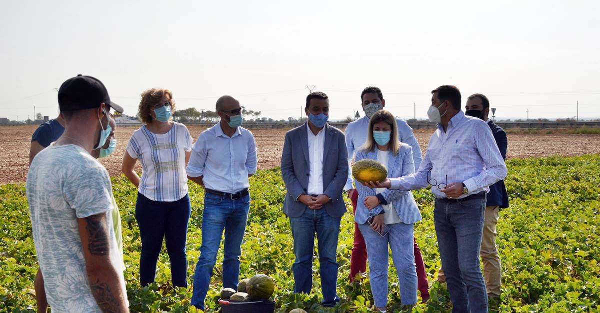 La campaña del melón y la sandía cierra con números en positivo en Castilla-La Mancha