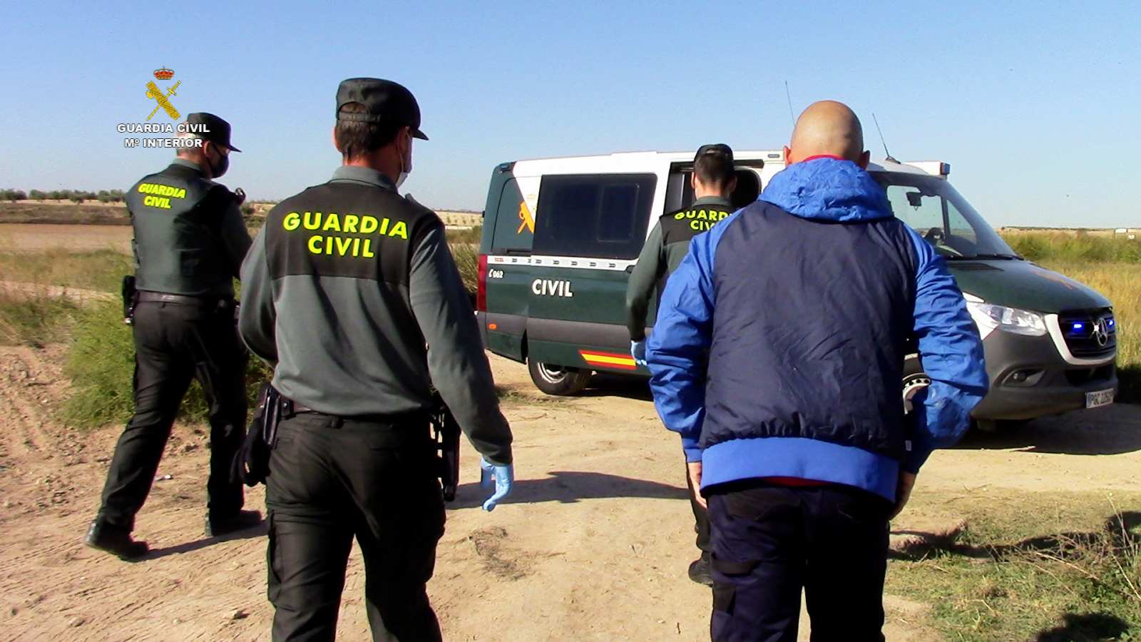 Intervenidas en Castilla-La Mancha 135.000 plantas de marihuana, la mayor cantidad en un mismo cultivo en Europa