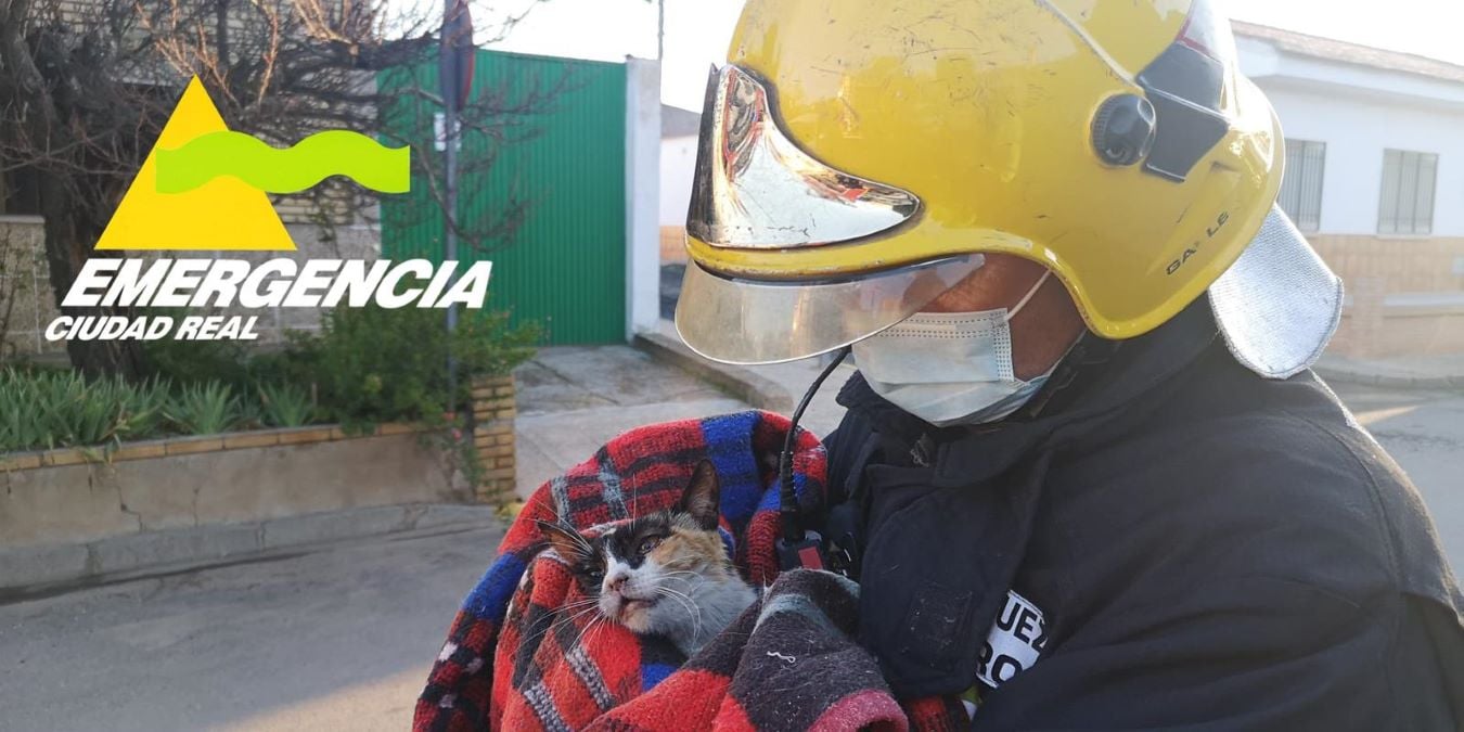 Rescate a dos gatos intoxicados tras un incendio en un municipio de Ciudad Real