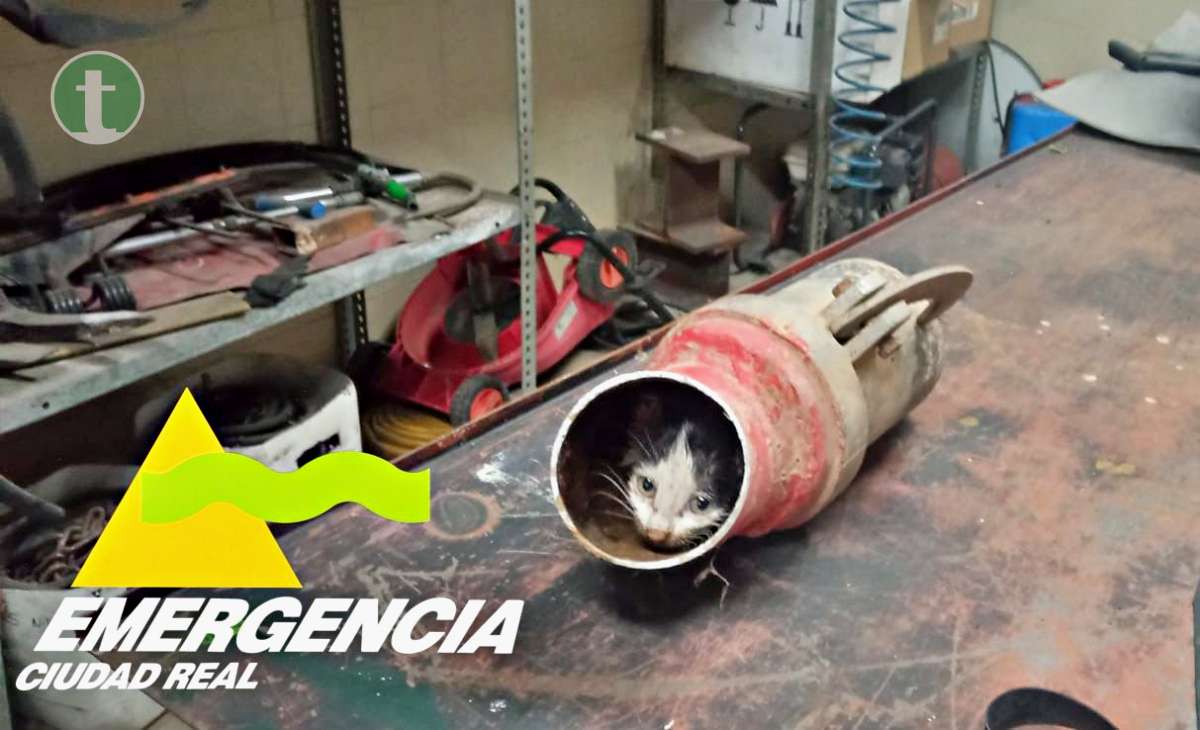 Bomberos de Manzanares rescatan a un gato atrapado en un codo metálico