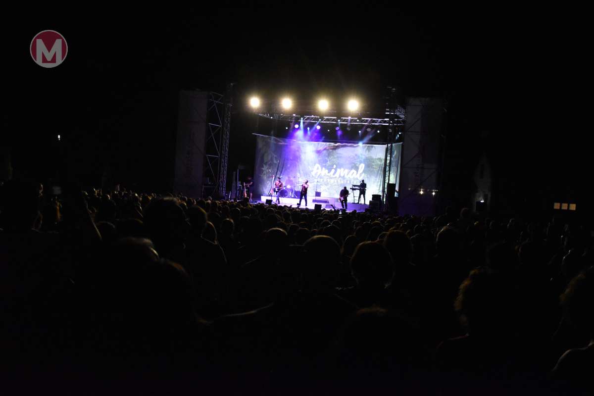 Gran afluencia de público al concierto de Funambulista y Deskaraos en el castillo de Peñarroya