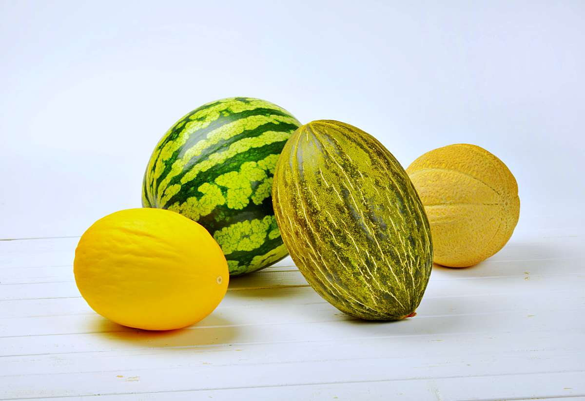 El melón, la gran fruta de La Mancha: Beneficios, curiosidades y recetas